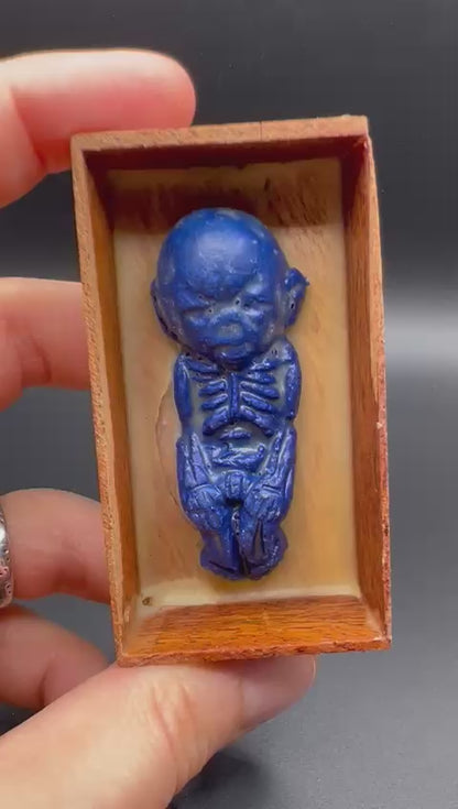 KUMAN THONG LOK GRAWK